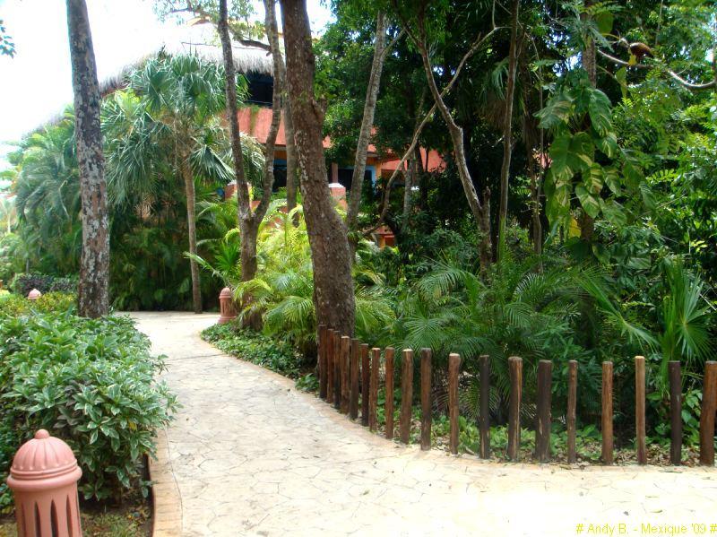 Iberostar Tucan et Quetzal (121).JPG